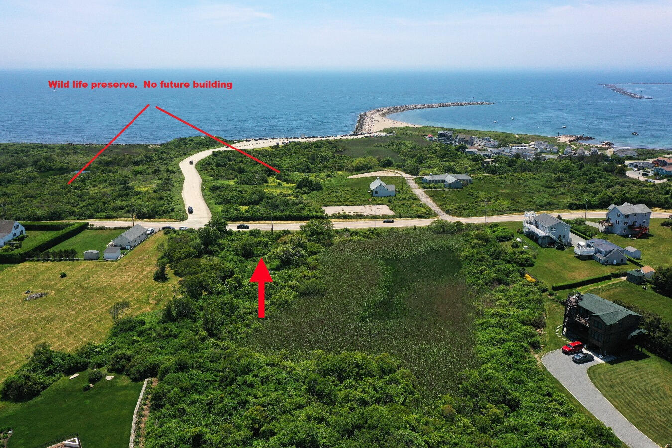 Wildlife Peserve (no future building)